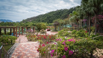 The Bougainvillea Garden comprises of a series of flower beds descending along the staircase into the centre of the garden, enclosed by a half crescent pergola with flowering climbing plants crawling on the canopy, softening the edges of the pergola and adding dabs of colours to the space.